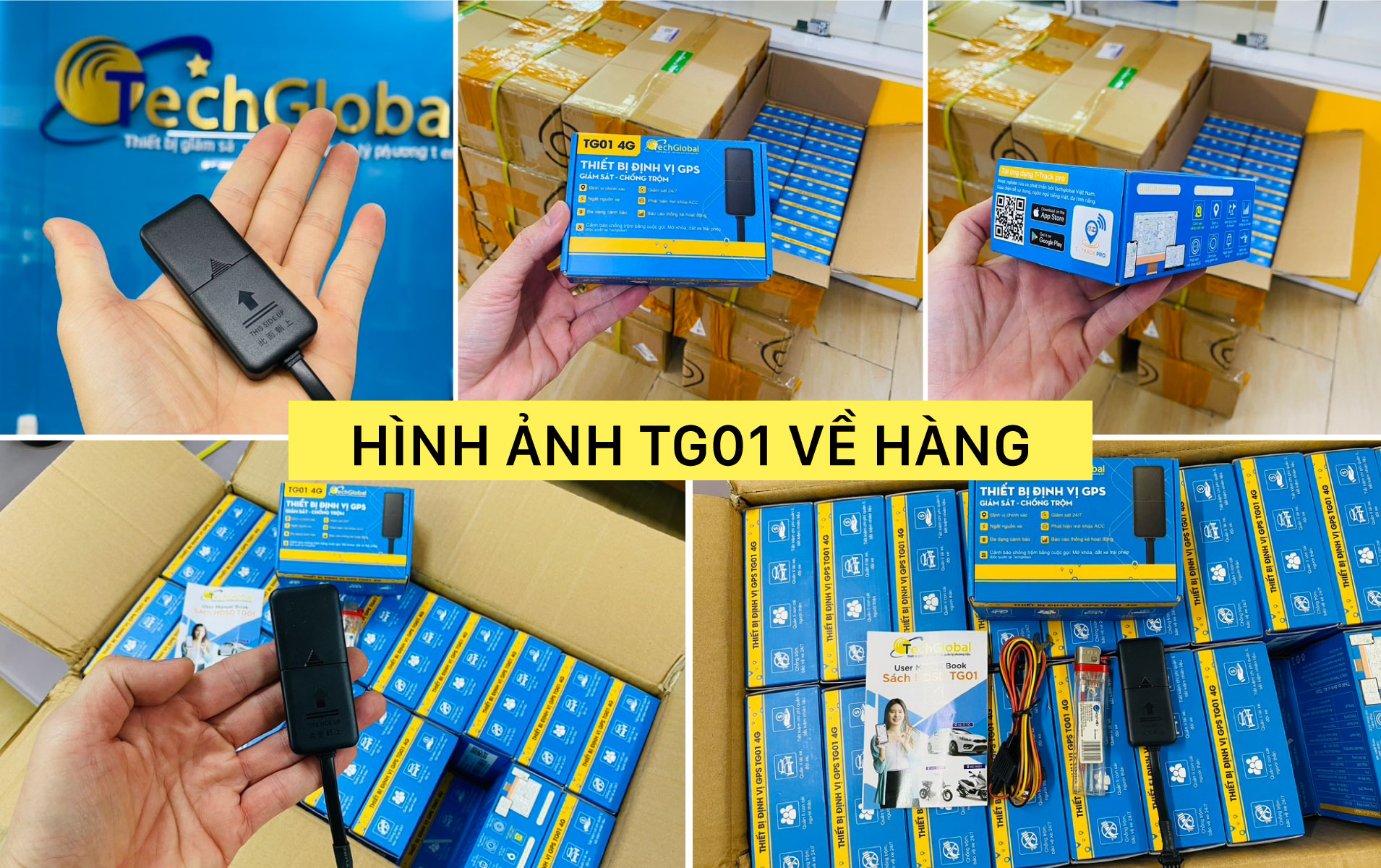 hinh-anh-hang-ve-TG01